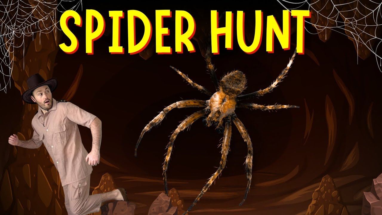 We're Going on a Spider Hunt | Bear Hunt | Nursery Rhymes | Educational Videos for Children