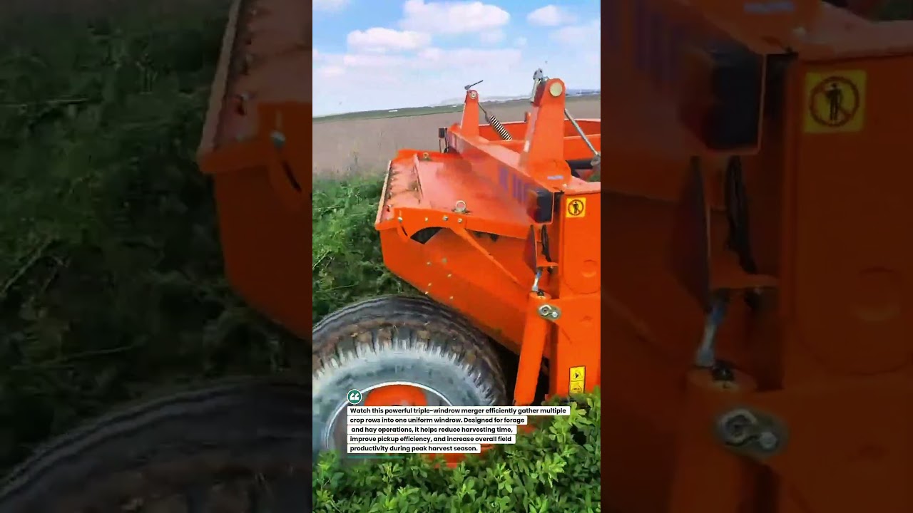 Massive Triple-Windrow Merger in Action! High-Speed Forage Harvesting 🚜🌱 #HayHarvest #ForageFarming