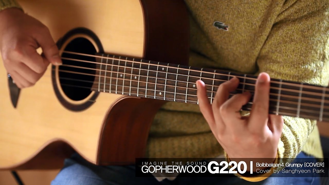 볼빨간사춘기 - 심술 [Cover] / Gopherwood G220CE