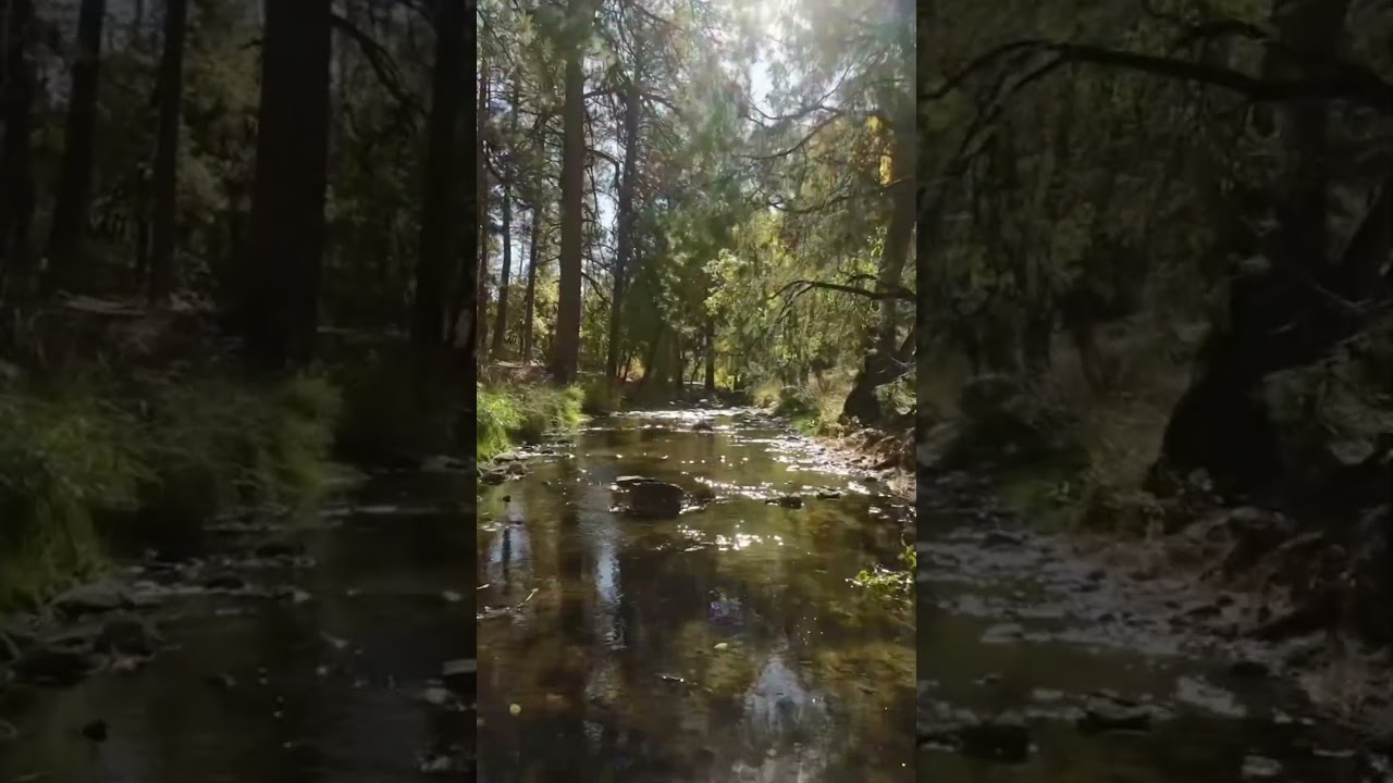 Ruidoso, NM Fall road Trip | Road trip in the mountains #discoverruidoso #newmexicotrue #roadtrip