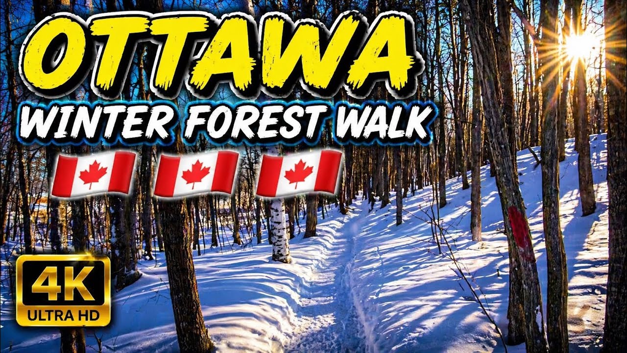 4K] Winter Forest Trail Walk ❄️ | Snowy Morning Hiking in Canada -18°C Sunny Day