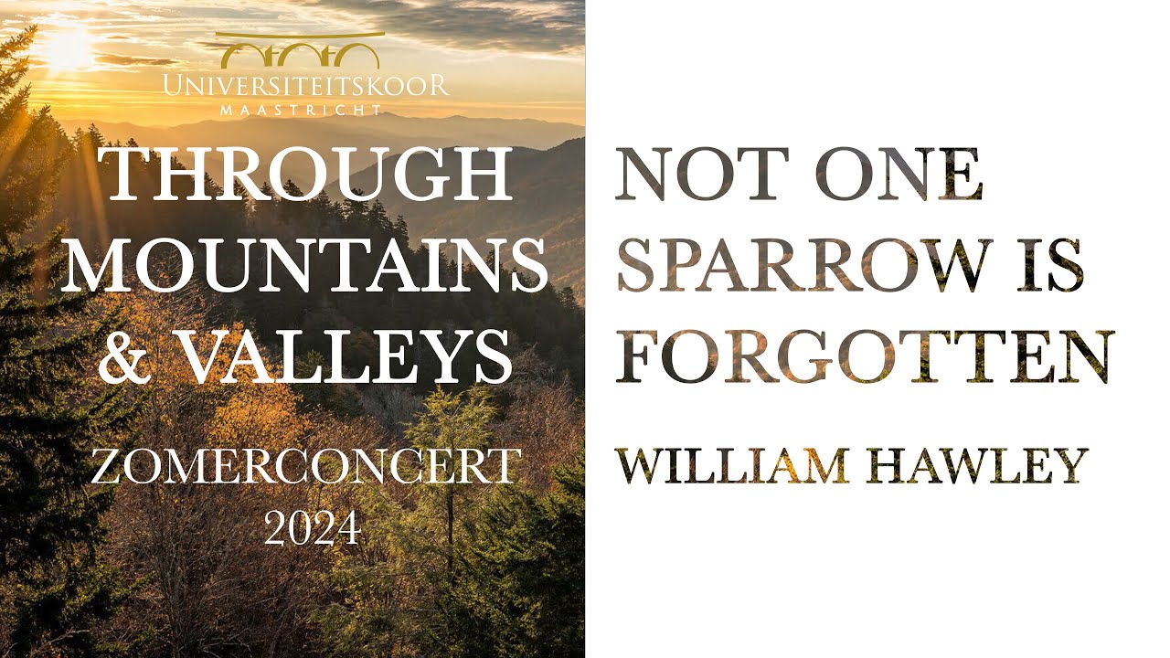 Not One Sparrow Is Forgotten - William Hawley