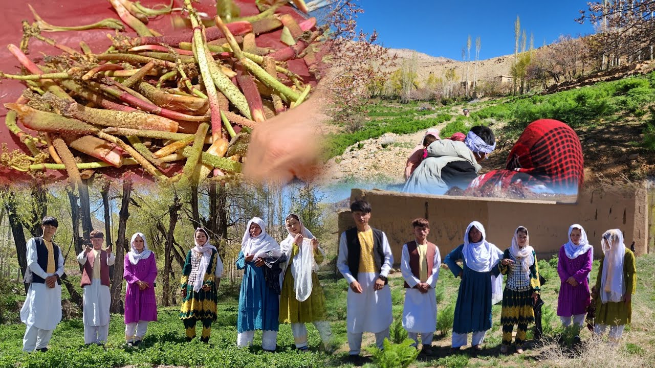 یک ویدیو از مناطق مکنک مالستان به فرمایش شما عزیزان دل ❤️❤️❤️😍😍😍❤️❤️