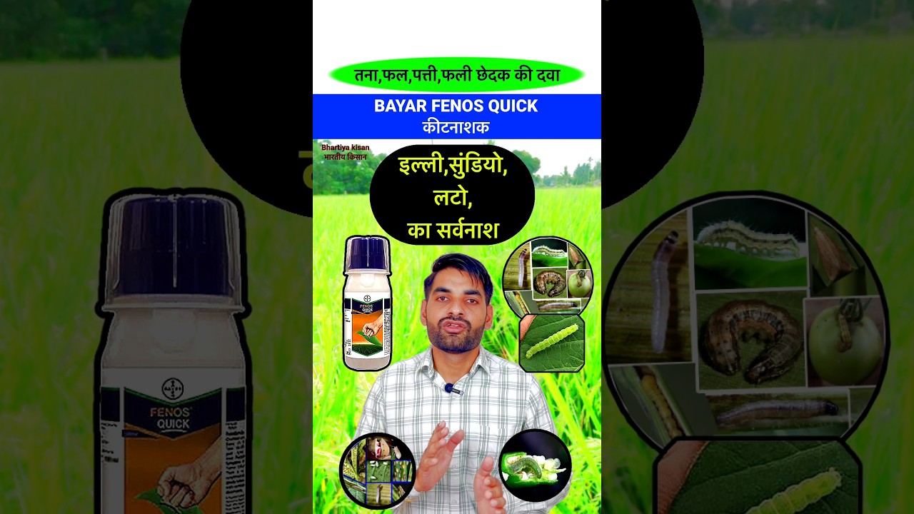 इल्ली सुंडी लट की दवा - Bayer Fenos Quick || #insecticide #pesticide #shorts #farming #viralvideo