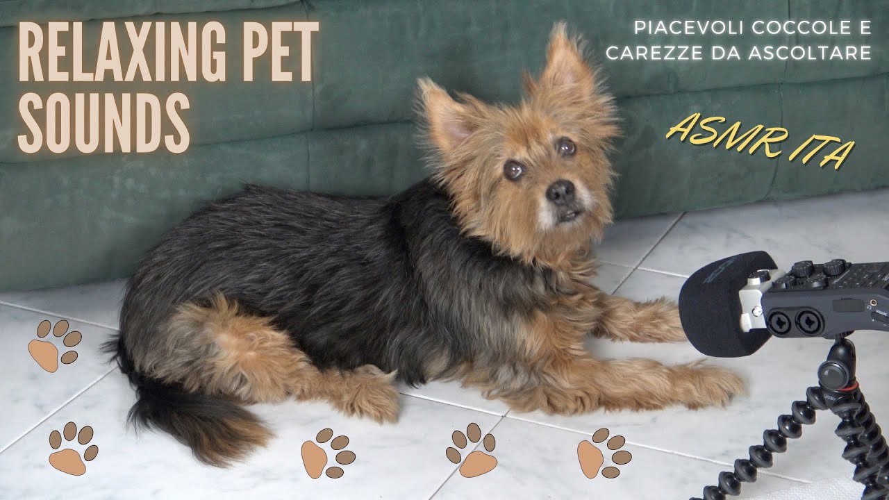 ASMR ITA | RILASSATI mentre coccolo la mia cagnolina | ASMR Pet Sounds 🐶😌💤
