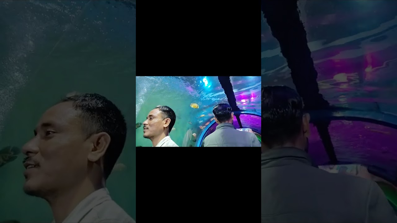 Sivasagar boarding field, SHARK SHOW (Aquarium)#foryouシ #everyoneシ゚ #sibsagar #shivratri #2026