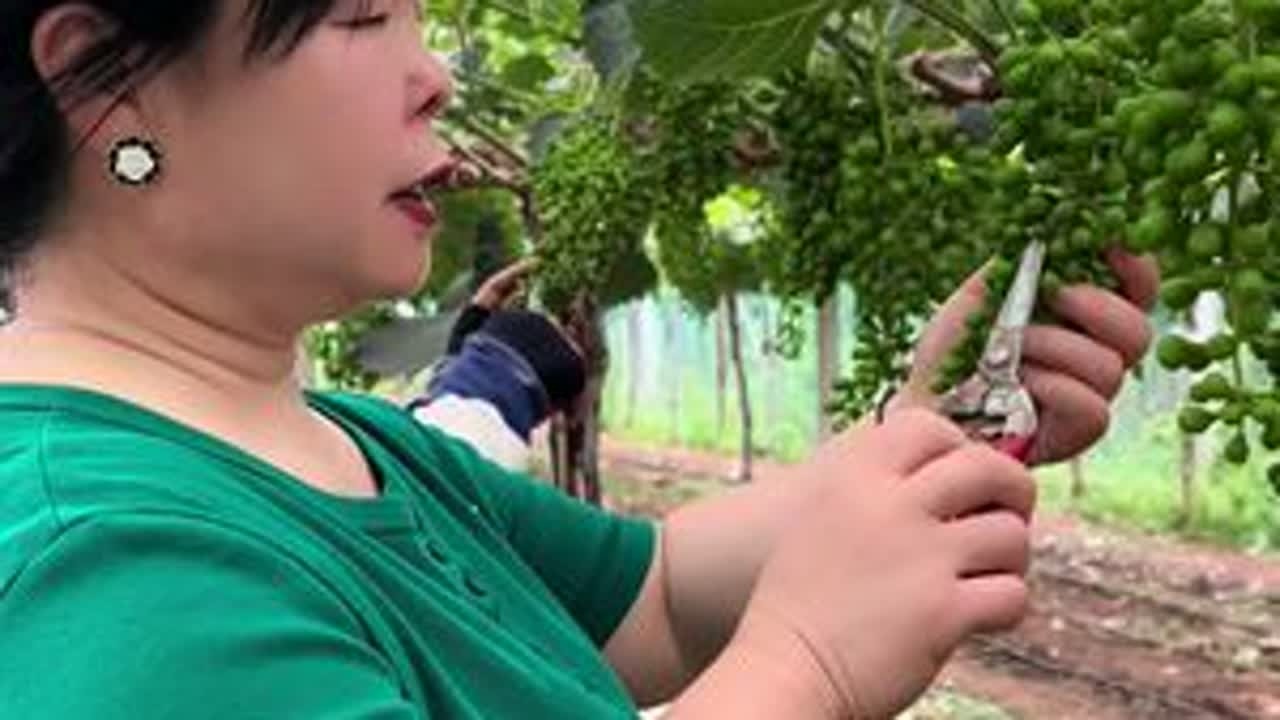#村里那些事 #农村生活 #剧情 #稻庄碎戏 这样的事情大家评评理，