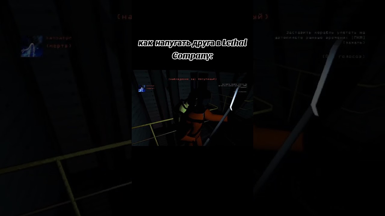 как  напугать друга в Lethal Compan //#lethalcompany #zeekerss #horror #horrorgame #roblox #furry