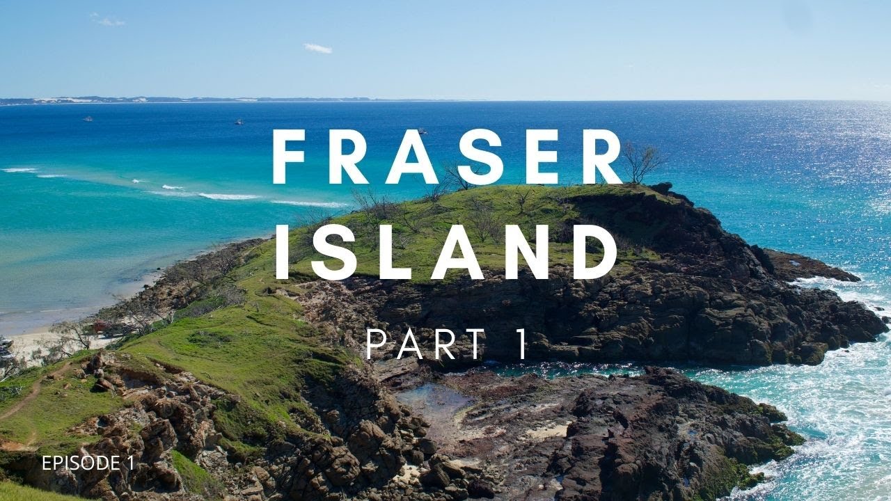FRASER ISLAND: HUNGRY DINGOES, ELI CREEK, WADDY POINT, CATHEDRAL BEACH CAMPING.