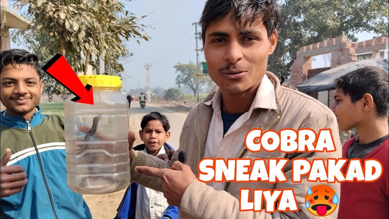 Cobra shaap pakad liya 🥵😱💀