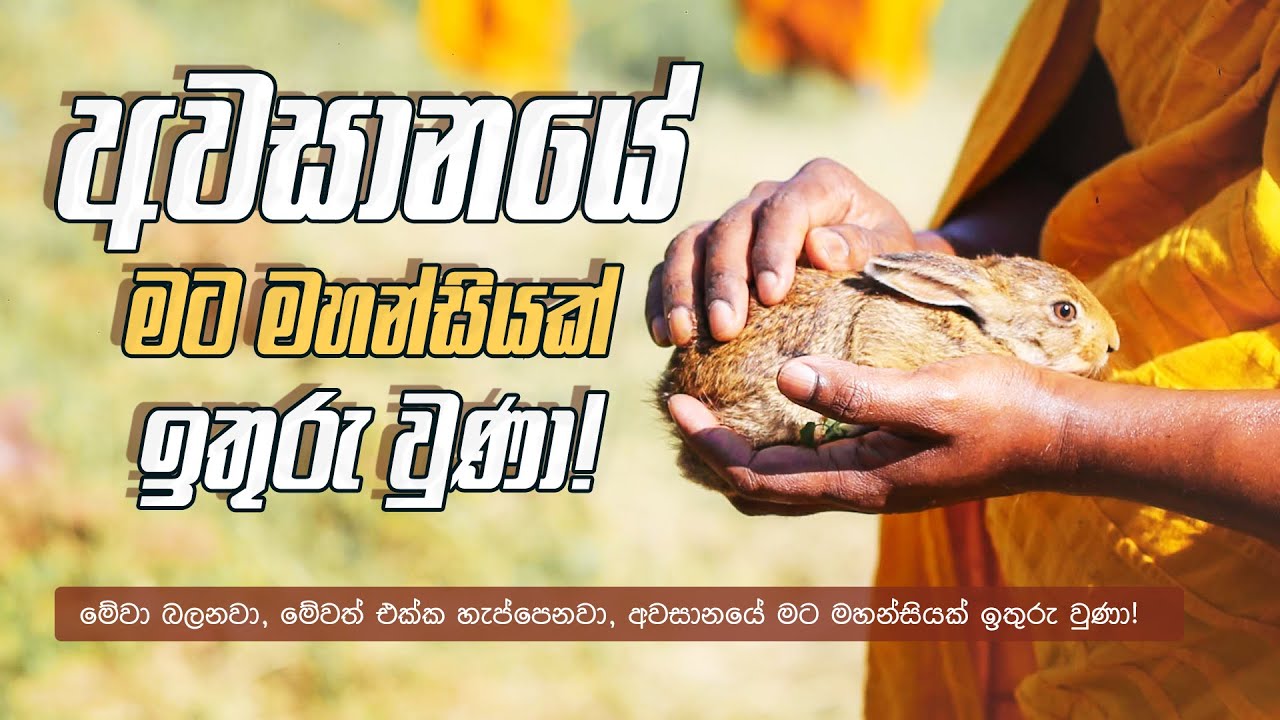 අවසානයේ මට මහන්සියක් ඉතුරු වුණා! [සිරි සමන්තභද්‍ර අරහත් මහා ස්වාමීන්වහන්සේ]