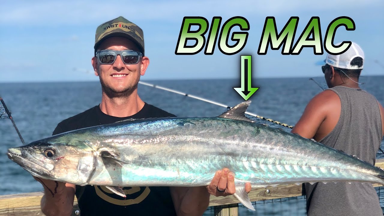 HUGE!!! King Mackerel Caught on Navarre Pier