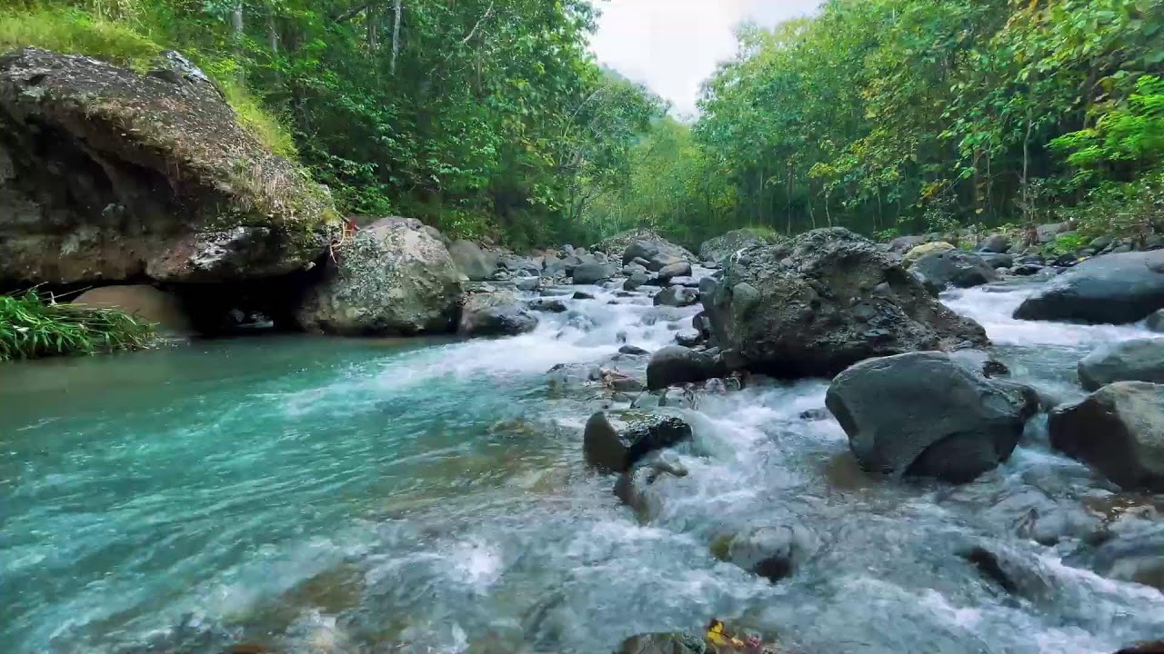 River Sounds for Deep Sleep (No Music, Natural Water)