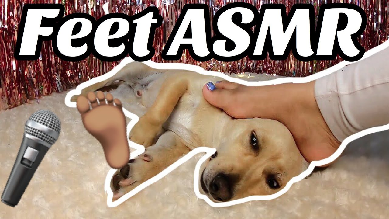 Dog ASMR Feet Massage/Scratching and belly rubs