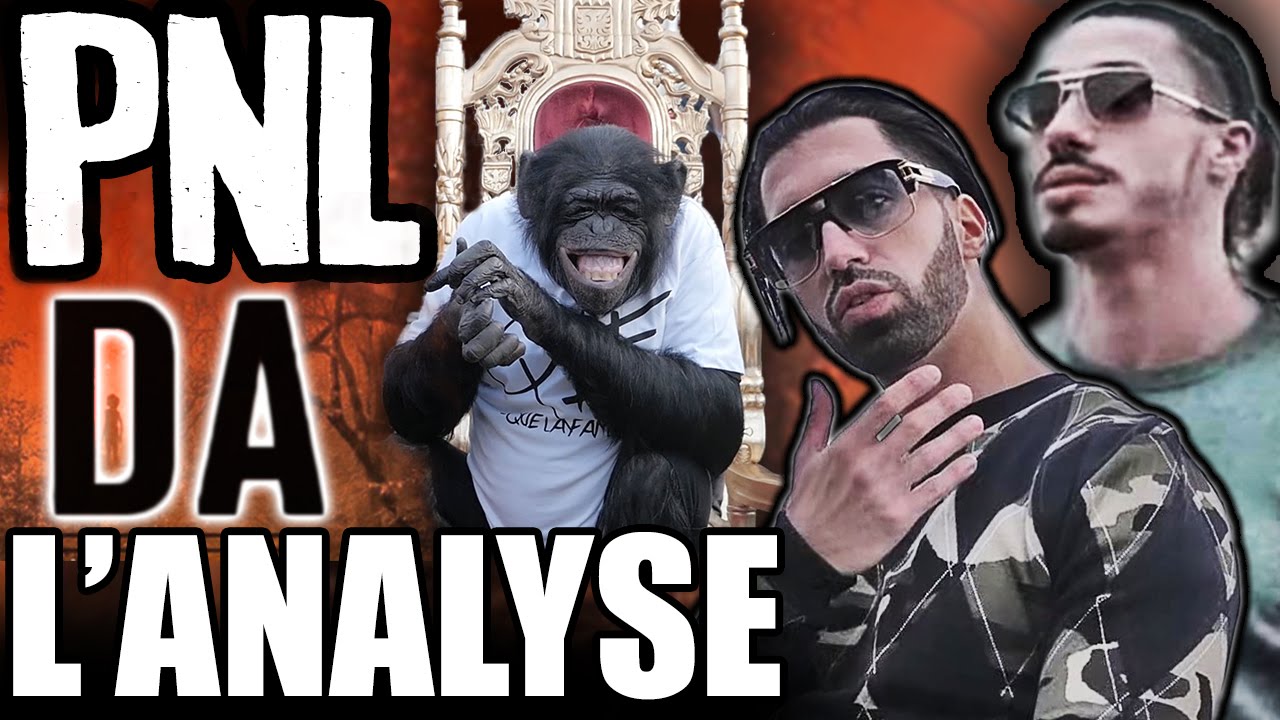 PNL - DA : L'ANALYSE de Legistor