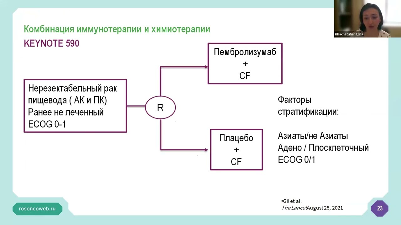Академия RUSSCO для подготовки к экзамену ESMO: Опухоли ЖКТ. Часть&nbsp;1 (8 июня 2025)