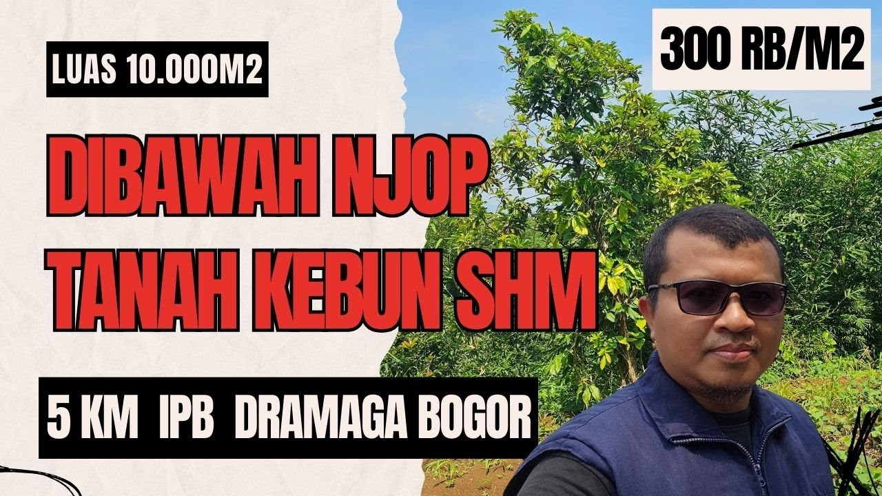 JUAL KEBUN ALPUKAT SHM DIBAWAH NJOP, PINGGIR JALAN ASPAL HANYA 5 KM KE IPB DRAMAGA | 0857-1928-7481