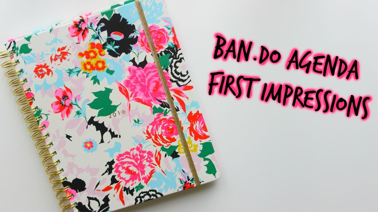 Ban.Do Agenda/Planner First Impressions! :: ChrissyLilly ♡