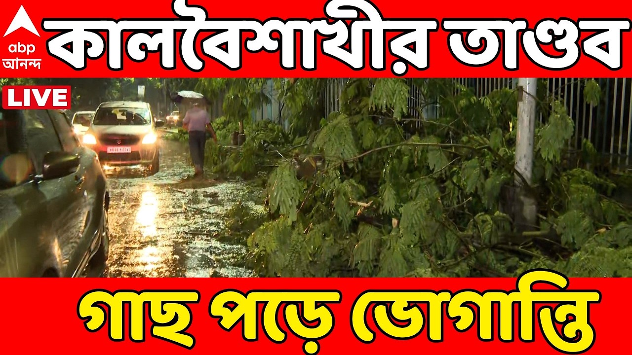 Weather Report Live: শহরজুড়ে কালবৈশাখীর তাণ্ডব। সঙ্গে শুরু বৃষ্টি | গাছ পড়ে ভোগান্তি একাধিক জায়গায়