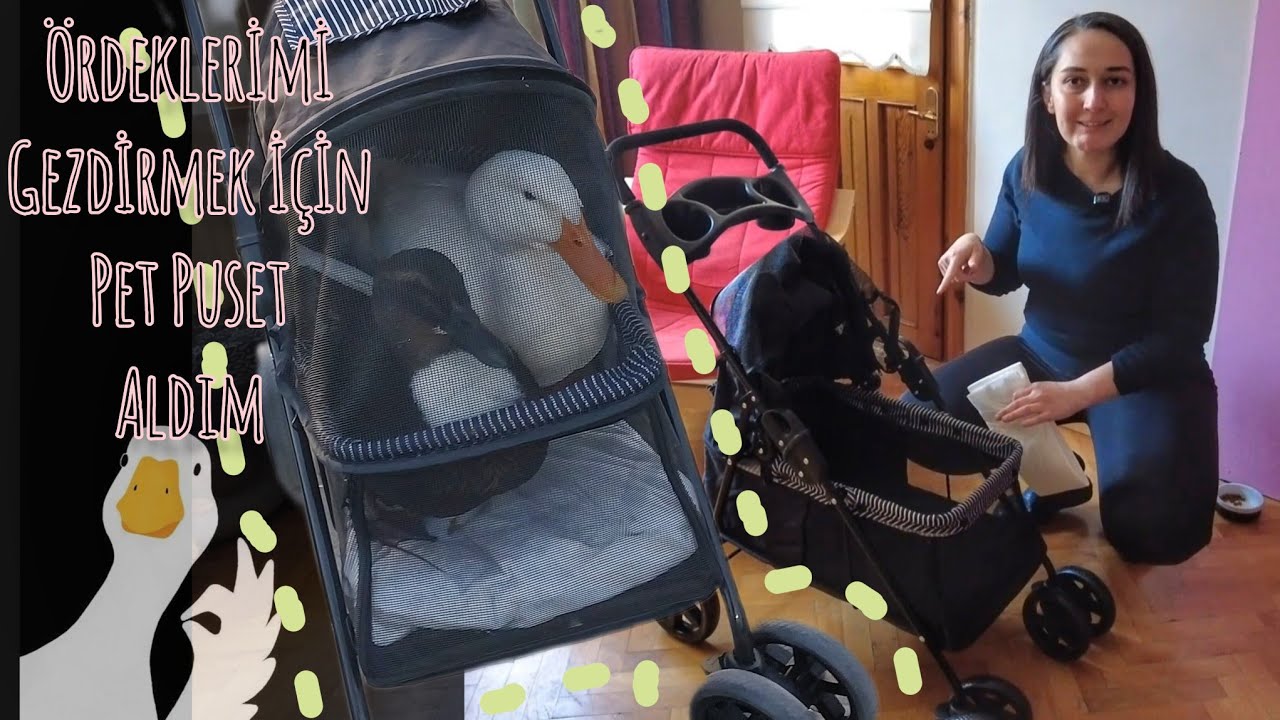 ÖRDEKLERİMİ GEZDİRMEK İÇİN PET PUSET ALDIM