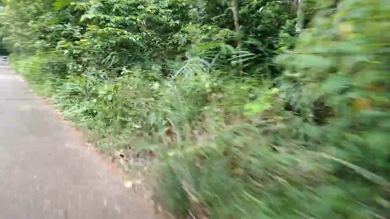 Kirirom National Park is located in Chambok Commune.[១]