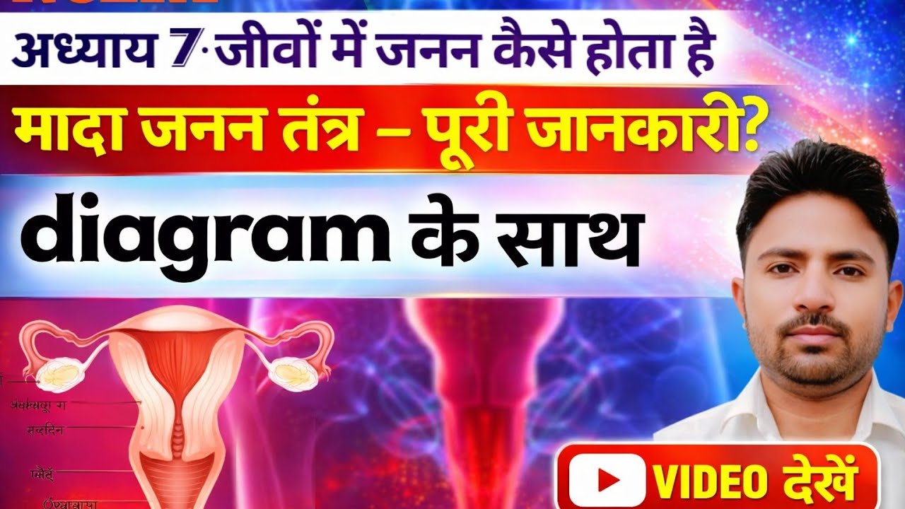 मादा जनन तंत्र।(reproductive system of female)। जनन तंत्र क्या है। जीव विज्ञान।