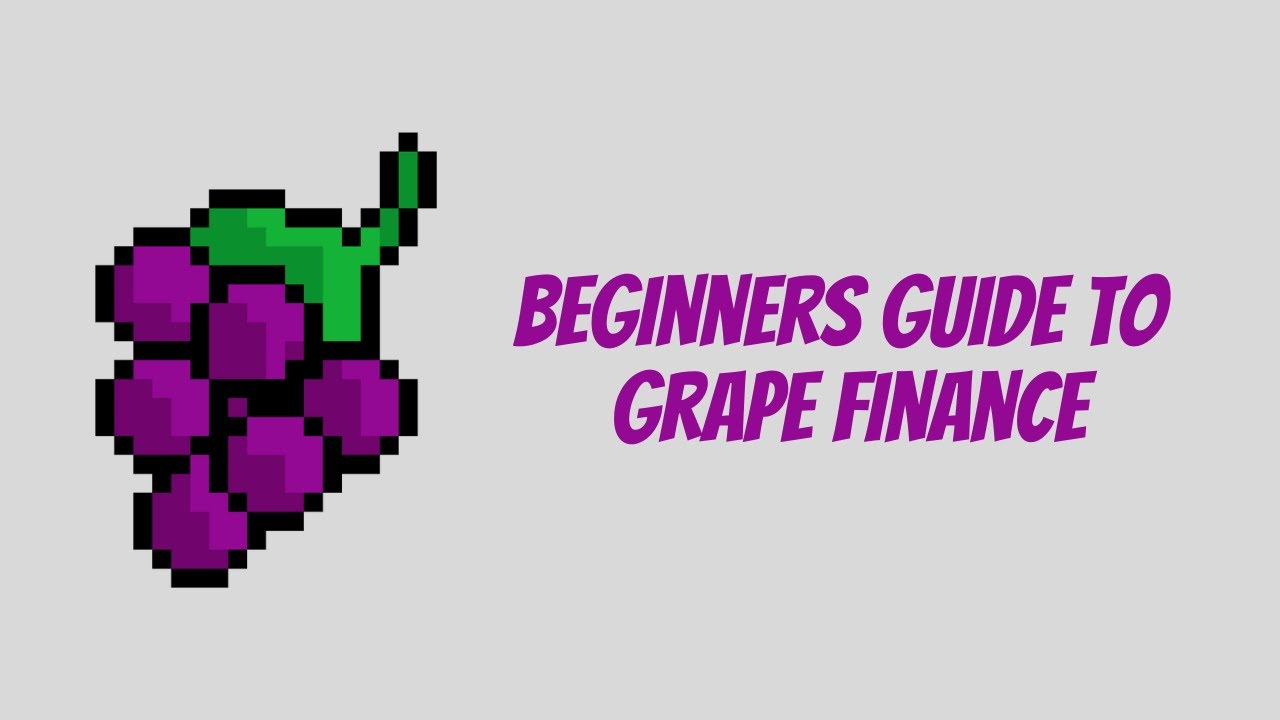 Beginners Guide to Grape Finance