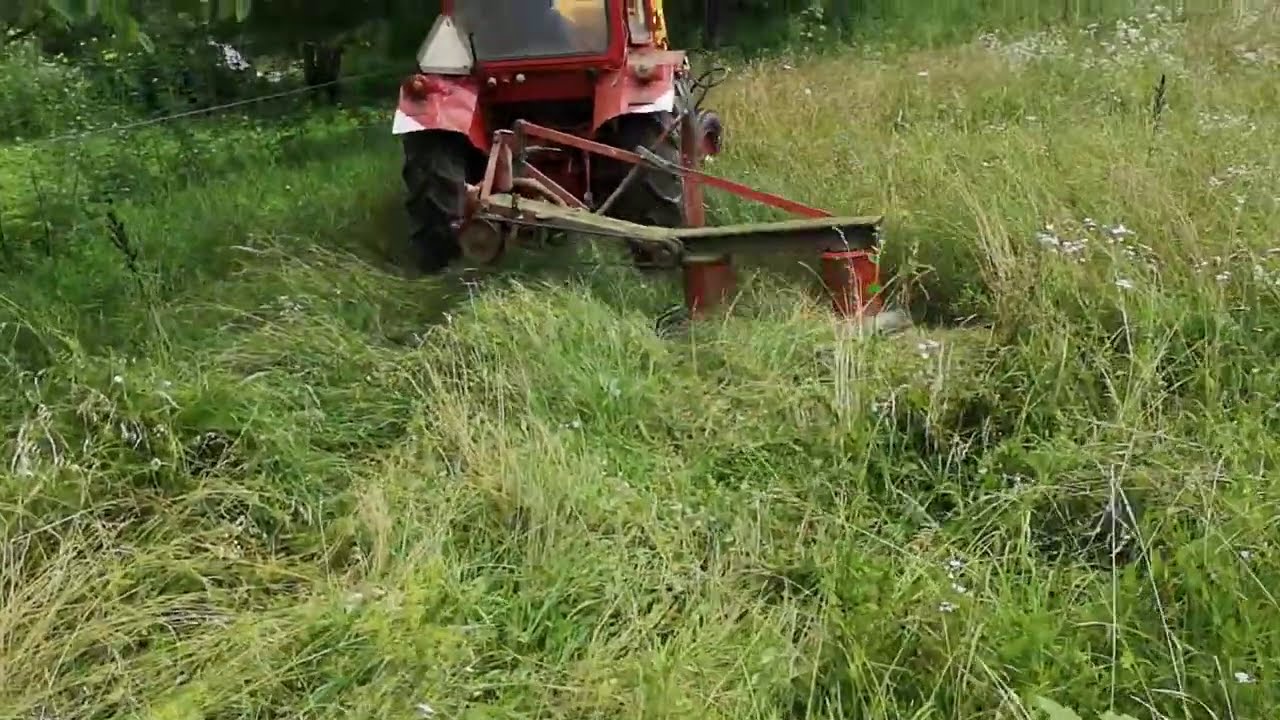 Coasa și baloții