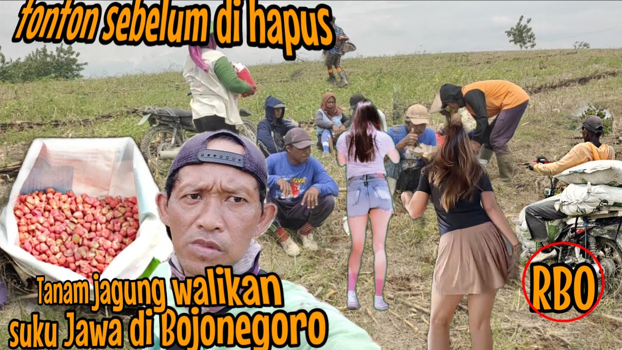 Jangan kaget‼️ caranya seperti ini sudah dianggap hal yang biasa _suku Jawa Timur di Bojonegoro 