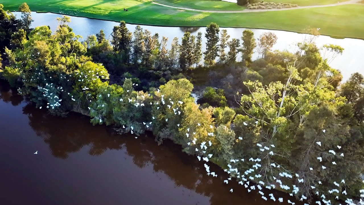 Destination WA - Swan Valley Tours