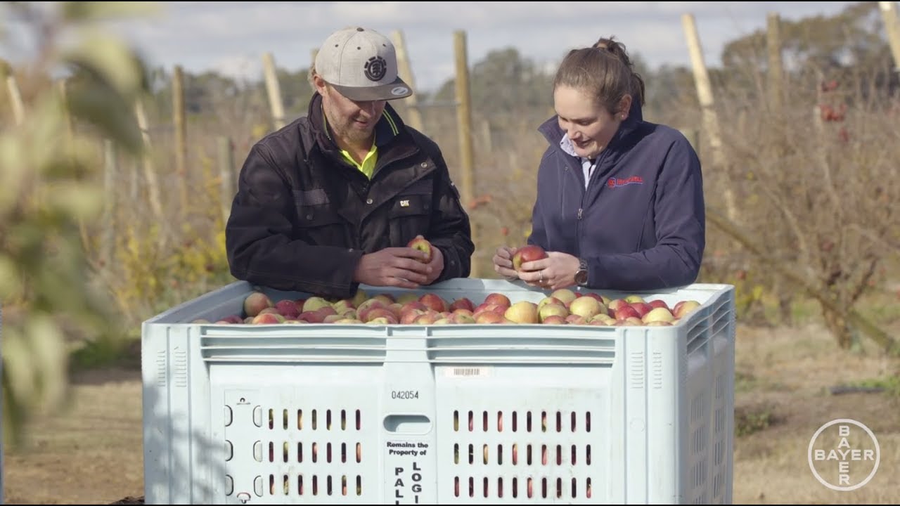 Luna® Sensation Fungicide - Improves Disease Control for Apples, Pears and Plums - 2:44