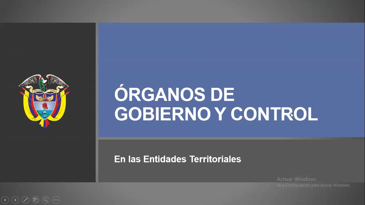 Gobierno territorial y Organos de Control