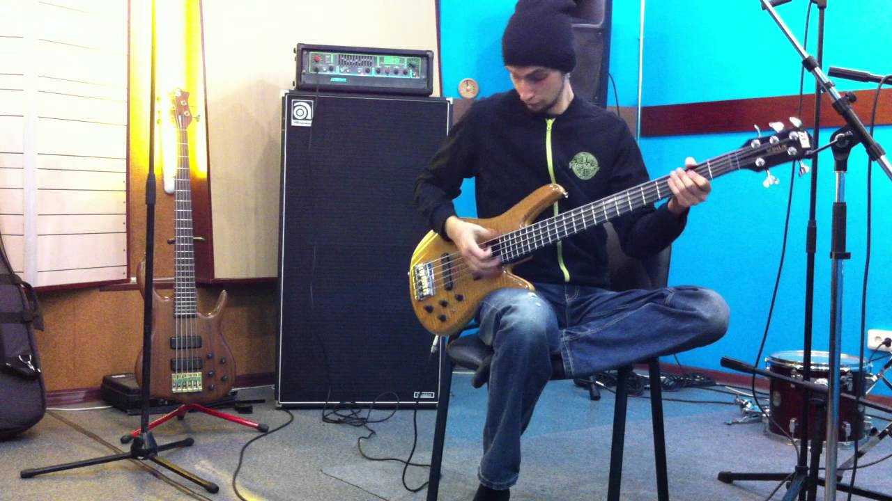 Slap on ZON Sonus 519 bass