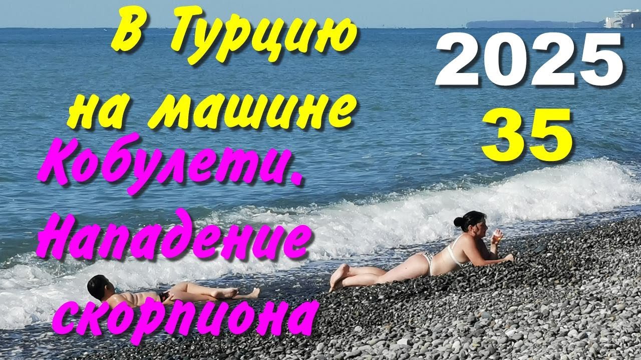 В Турцию на машине. 2025, ч-35. Кобулети. Нападение скорпиона