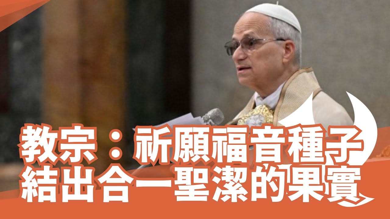 教宗：祈願福音的種子結出合一的果實