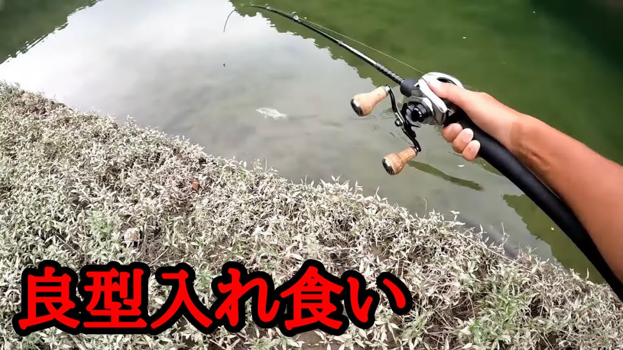 あのワームでヘビキャロやったら反則でした