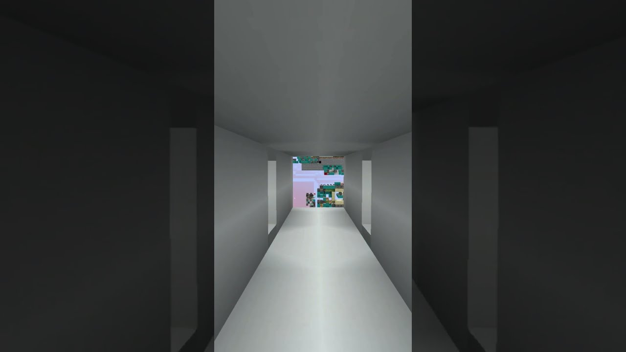 2x2 Seamless Glass Piston Door (Hallway View)