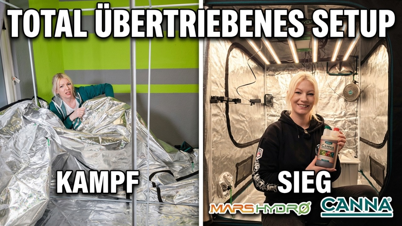 MarsHydro verr&uuml;cktes automatisiertes Setup! Notwendig oder &Uuml;bertrieben?
