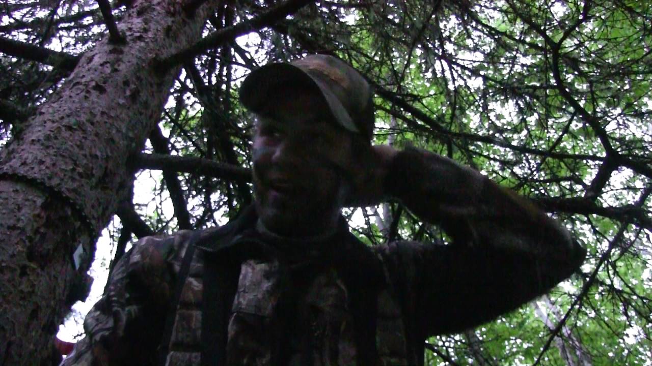 Quebec Archery Bear Hunt (2016)
