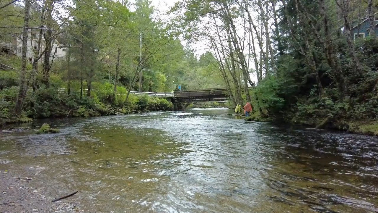 Ketchikan, Alaska - Ketchikan Creek & Salmon Spawning Area (2021)