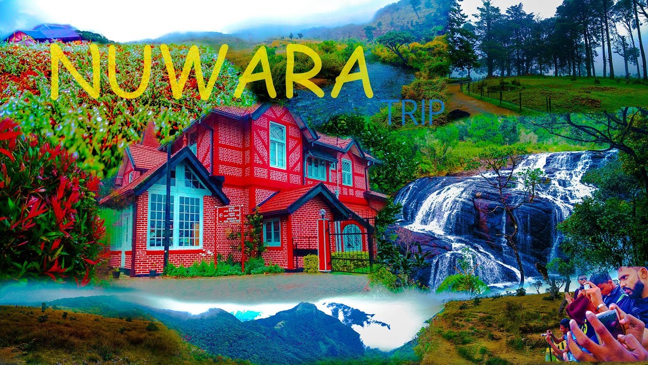 Malaka Sir 2018 Batch Trip in Nuwara Eliya , Sri lanka