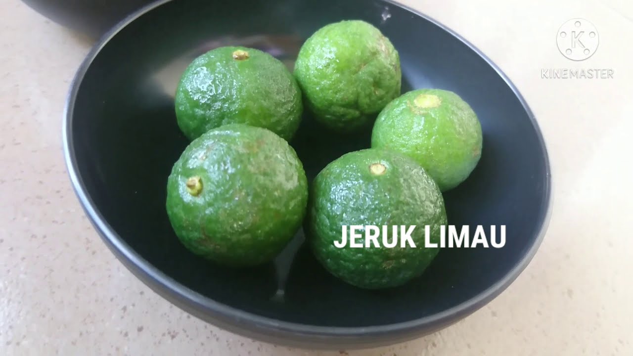 Cara Menanam Jeruk Limau dari Biji Dalam Polybag || How to grow lime from seeds in a polybag.