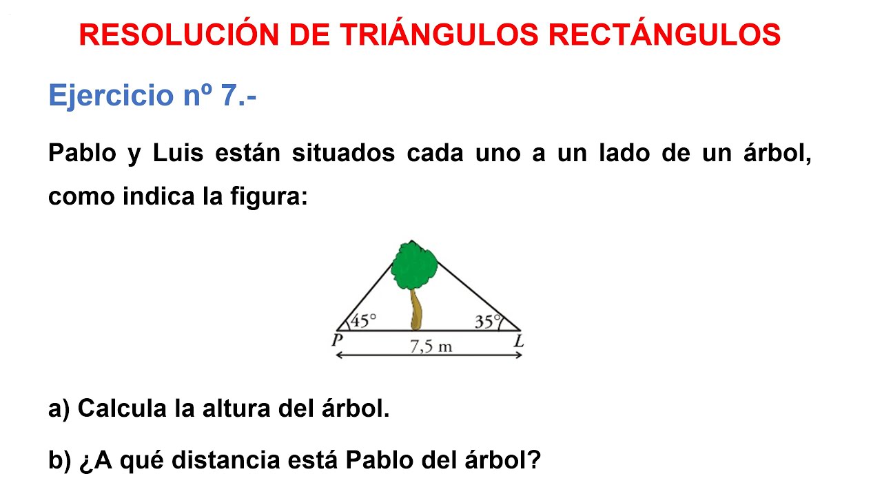 Resolución de triángulos rectángulos: Pablo y Luis están situados cada uno a un lado de un árbol