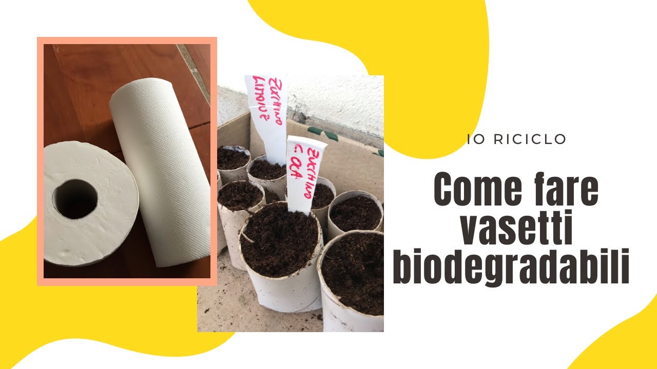 Riciclo #2 | Vasetti per semina biodegradabili