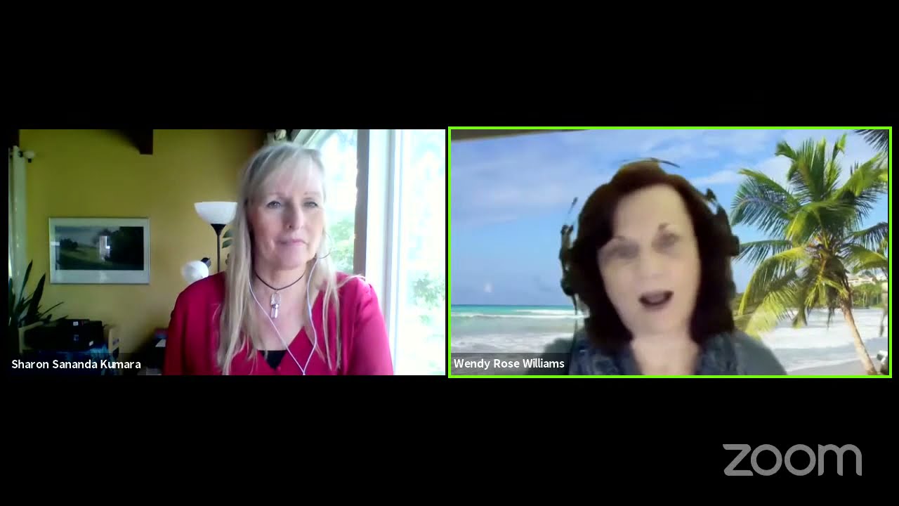 Past Life Therapy Discussion #2 with Wendy Rose Williams