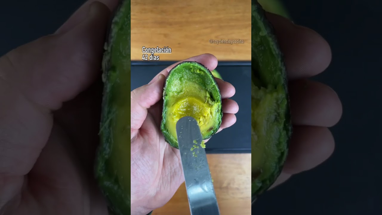 &iquest;Se pueden congelar los Aguacates o Paltas? #cienciaycocina #shorts