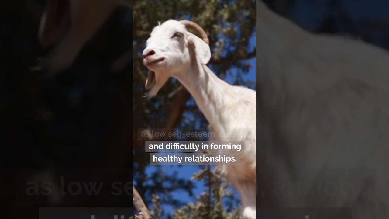 How Did You Become the Scapegoat Child In Your Family?