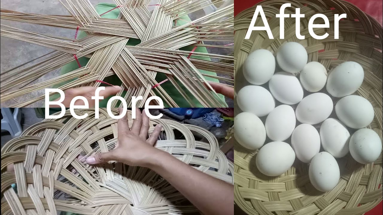 How to make egg tray using coconut stick