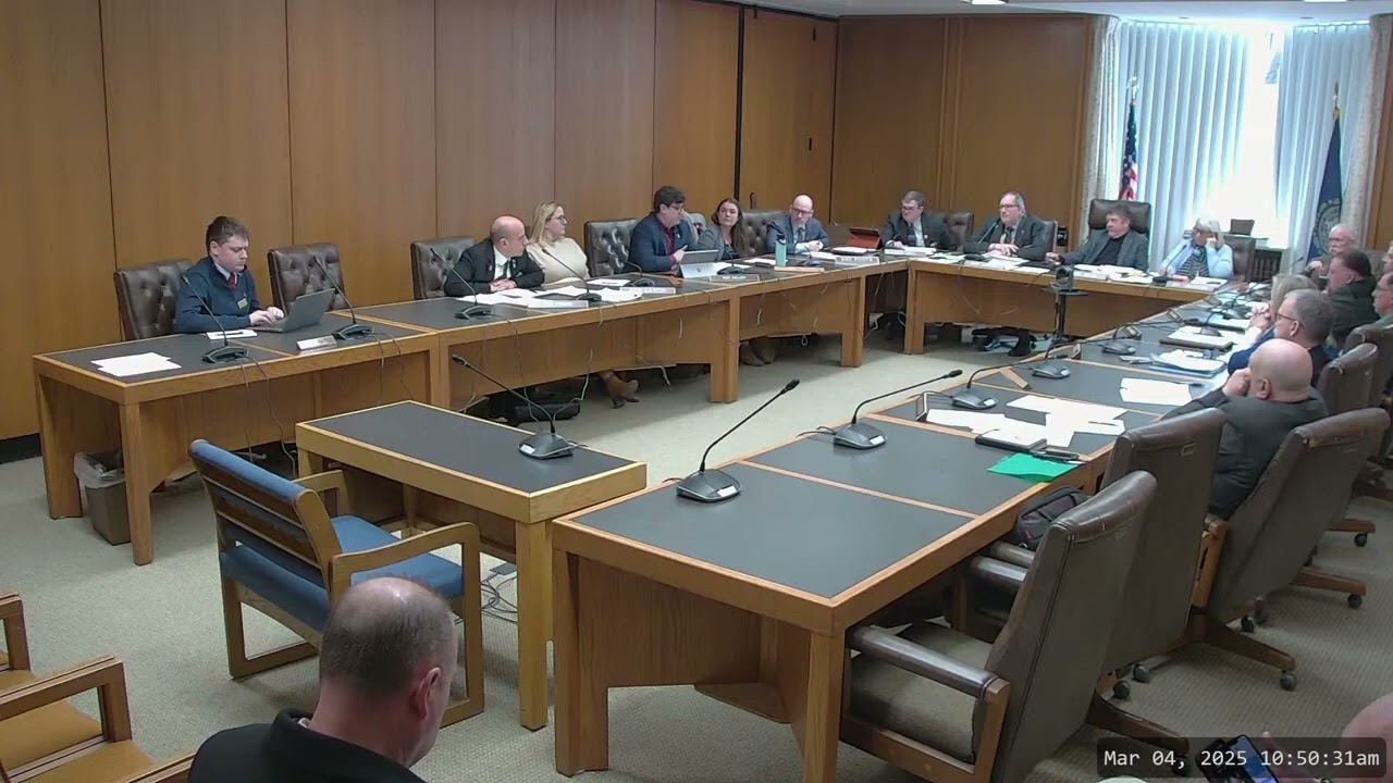 On Drivers License testing in foreign languages - NH House Transportation Committee - 4 Mar 25