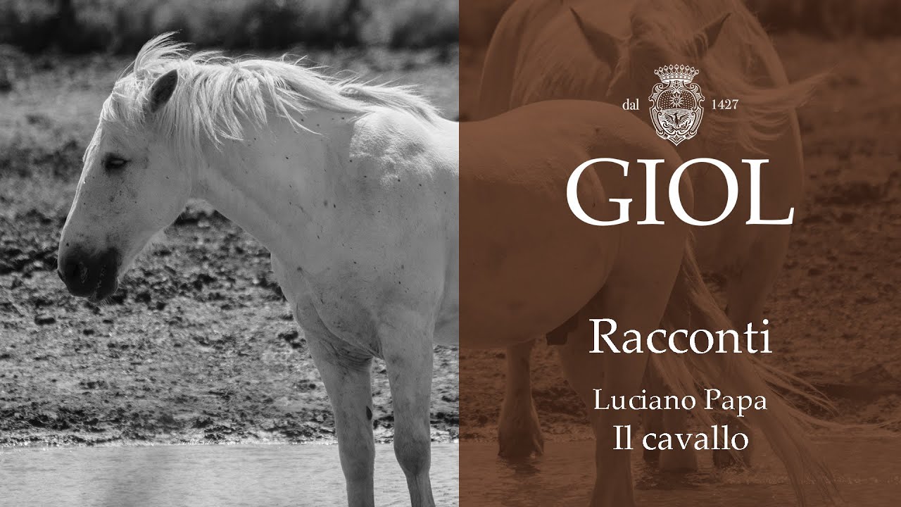 Tenuta Giol: Racconti a San Polo di Piave - Il cavallo (con Luciano Papa)